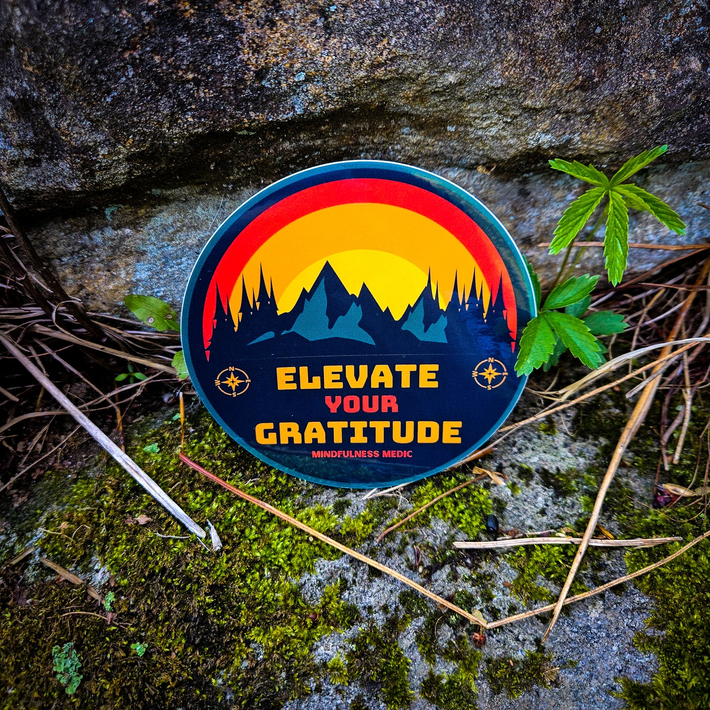 Elevate Your Gratitude | Vinyl Sticker